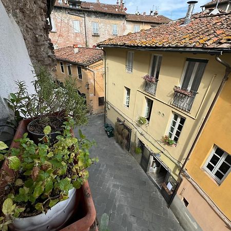 Micheli Suite Anfiteatro Square Lucca Exteriör bild