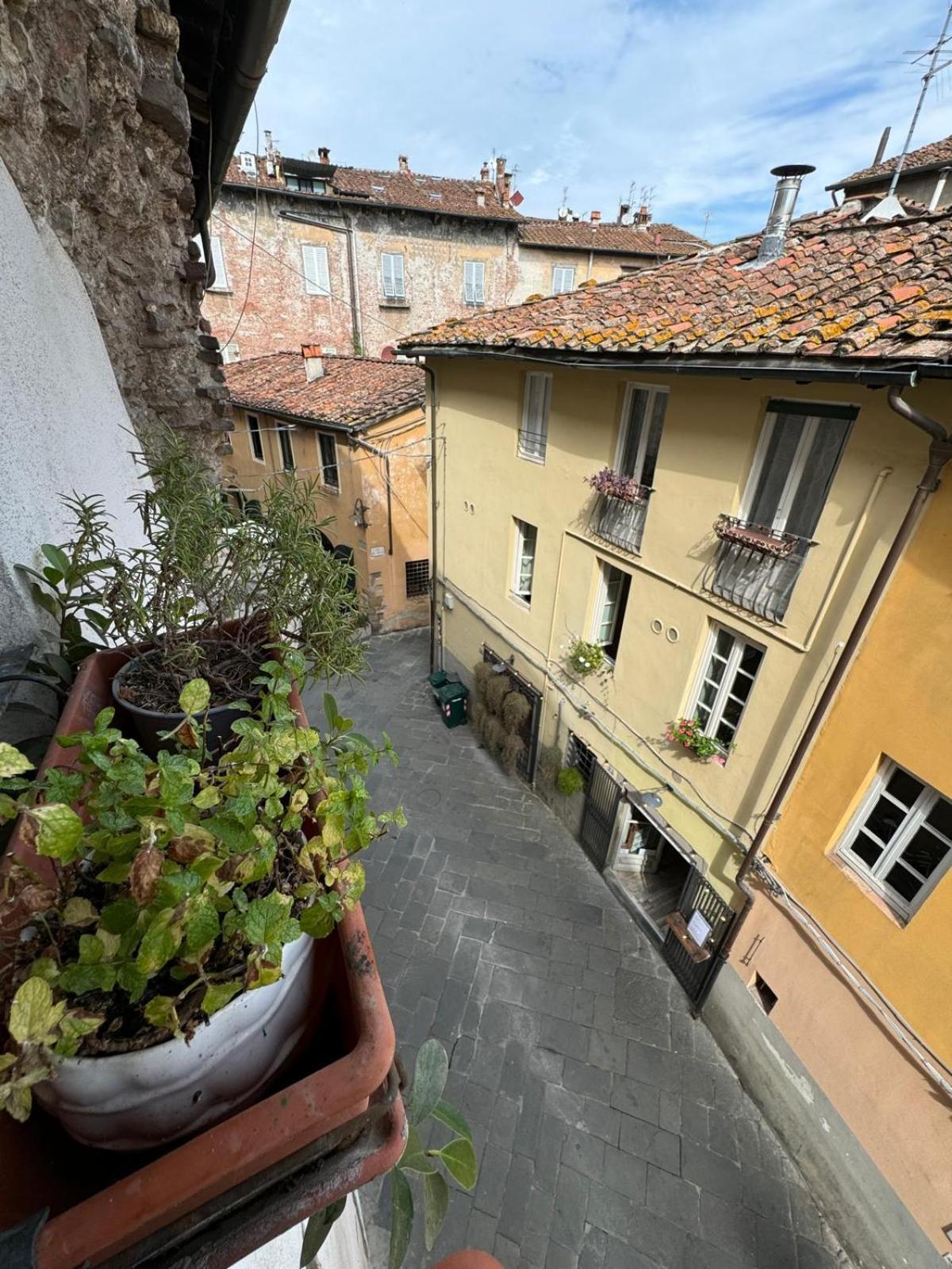 Micheli Suite Anfiteatro Square Lucca Exteriör bild